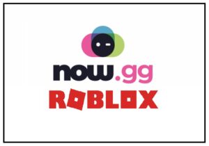 now.gg roblox